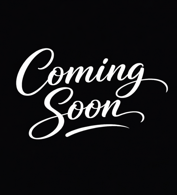 Roco VT11.5 Digitale Innenbeleuchtung für Zwischenwagen